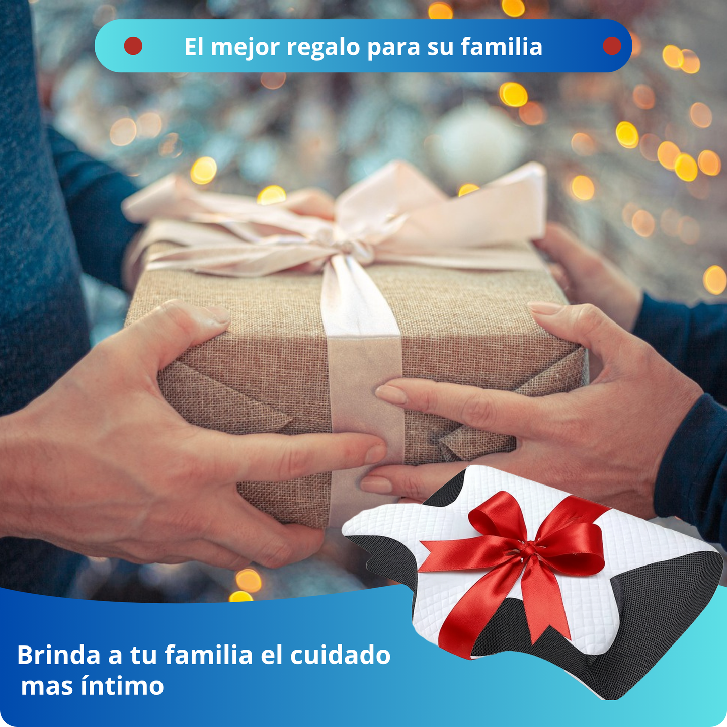 Noctara Sleep Solutions